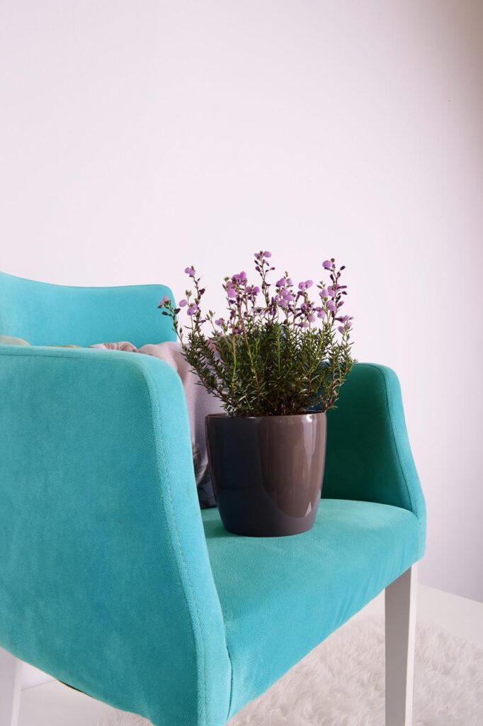 flowerpots, green, grow-2754776.jpg